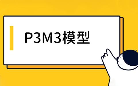 P3M3模型