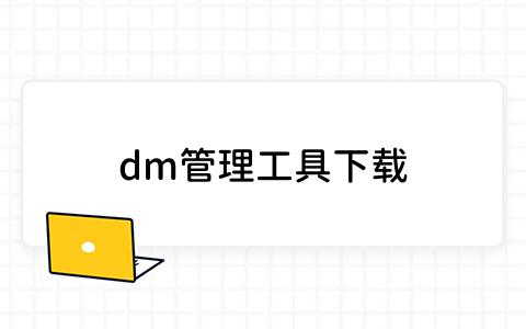 dm管理工具下载