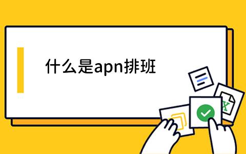 apn排班