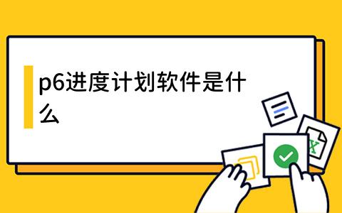 p6进度计划软件是什么